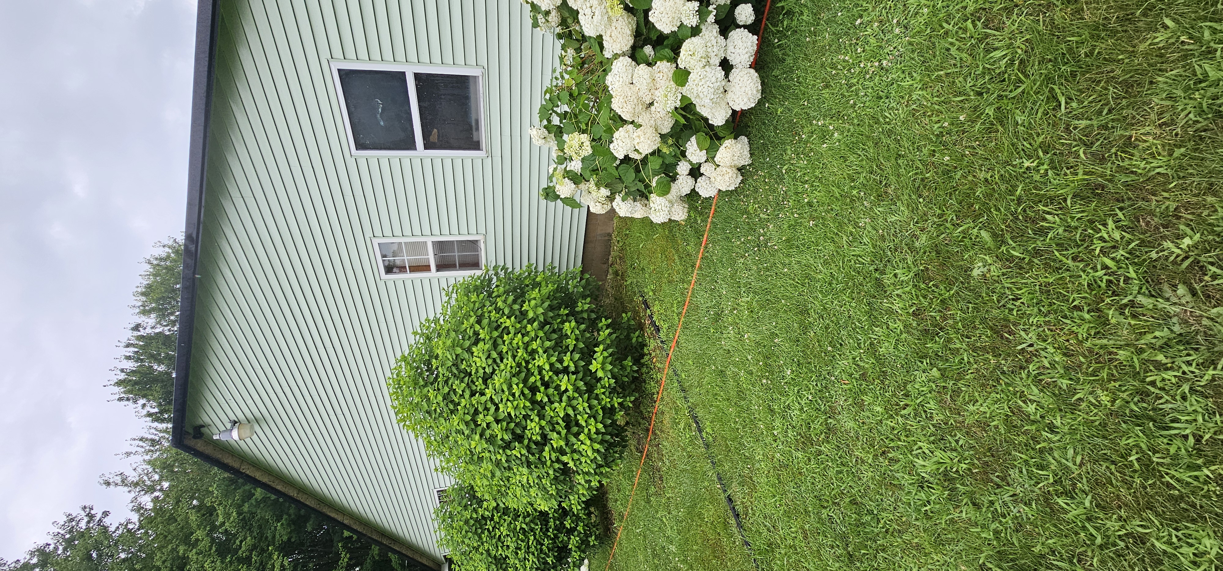 House siding after pressure washing - clean bright siding