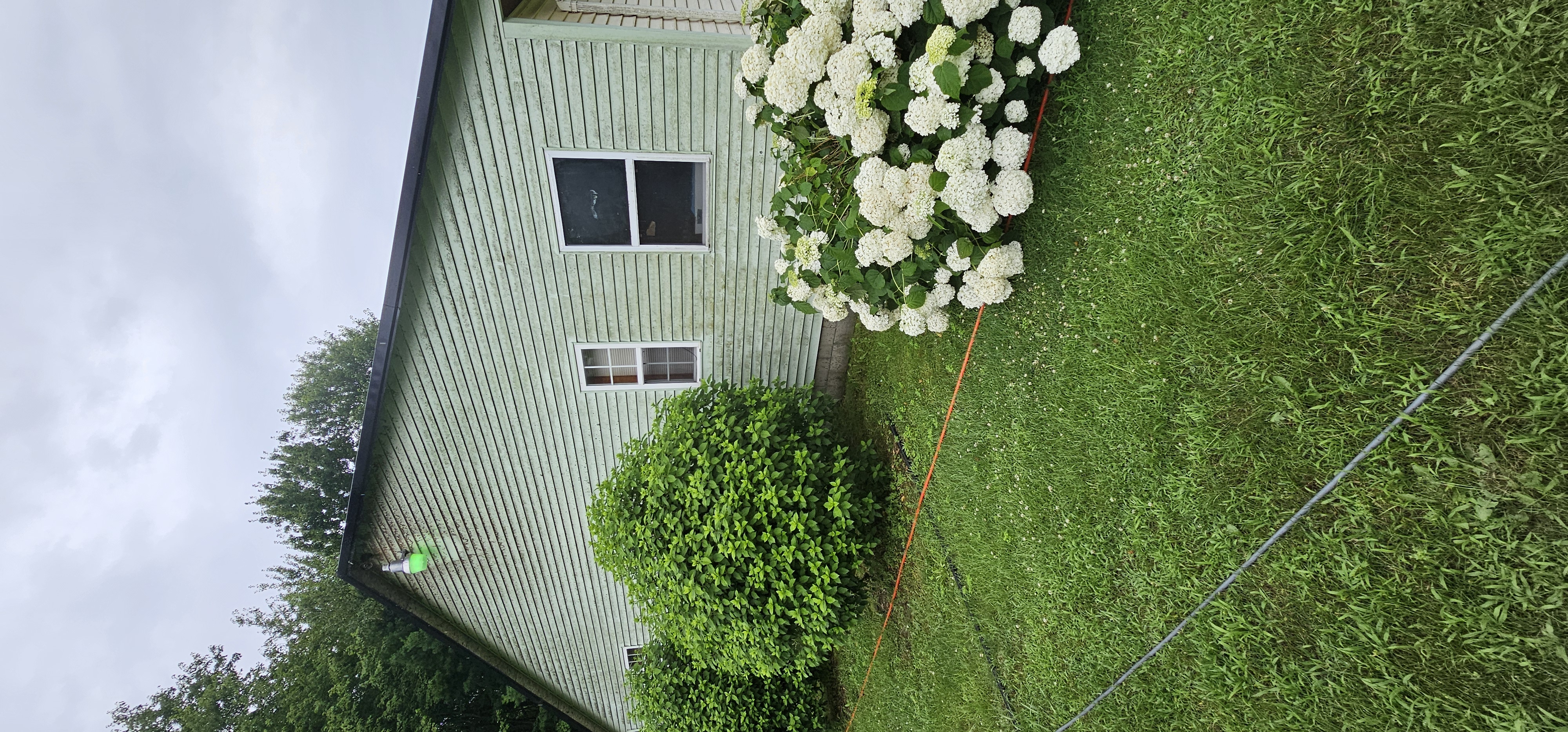House siding before washing - algae and mold buildup